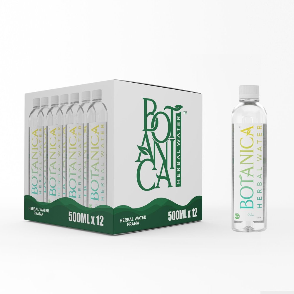 Botanica Herbal Water Pack of 12 | 500ml PET Bottles | Natural Vetiver, Cardamom, Cinnamon, Cloves & Lemon Infused Beverage | Vegan Hydration Drink for Digestion, Detox and Skin Health