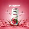 Dadu Fresh Cranberry Juice | Pure Natural Fruit Healthy Beverage | Not from Concentrate, No Added Sugar, No Preservatives or Artificial Flavours | Vitamin Rich & Naturally Refreshing | 6 Cans x 320ml (1920ml) view 2