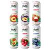 Dadu Fresh Fruit Juice Combo Pack | Avocado & Mango, Rambutan, Peach, Blueberry, Cranberry, Plum | Pure Natural Fruit Healthy Beverage | Not from Concentrate, No Added Sugar, No Preservatives or Artificial Flavours | Vitamin Rich & Naturally Refreshi view 1