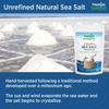 THANJAI GARDENS - SIMPLY NATURAL Pure and Natural INDIAN Sea Salt 500 GM view 4