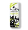 Black & White Ginger Ale (Pack of 4 X 250 ML) | Premium Sparkling Ginger Drink | Refreshing Carbonated Beverage with Real Ginger Aroma | Perfect Mixer for Cocktails, Vodka & Mocktails view 1